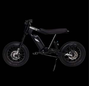 OFERTA DE DESCUENTO 2026 P-51 BULLET - Product Image 2