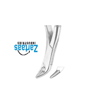 Pince d'extraction en acier inoxydable de haute qualité THOMAS canines inférieures, prémolaires et molaires fig 85A exportateurs et fabricant - Product Image 5