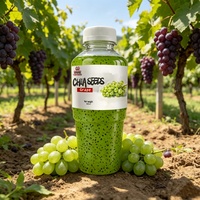 Boisson Prête à Boire Stérilisée OEM Concentré de Raisin Vert et Graines de Chia 450ml Bouteille PET Riche en Fibres Faible en Matières Grasses Boisson Saine aux Fruits
