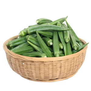 Gombo frais (Lady Finger/Bhindi) qualité supérieure à l'exportation 12cm taille 25kg approvisionnement en gros en vrac - Product Image 3