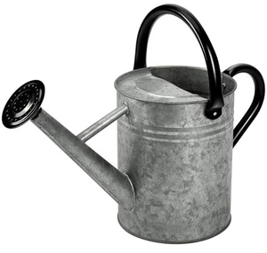 Home & Hotel Garden Usage Decorative Metal Water <b>Can</b> Glossy Finishing Sustainable <b>Watering</b> <b>Can</b> For Daily Used - Product Image 1