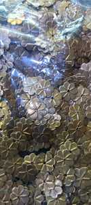 Paillettes plates en PVC de 5mm de couleur personnalisée pour l'artisanat de couture de broderie de bijoux et de vêtements faits à la main - Product Image 2