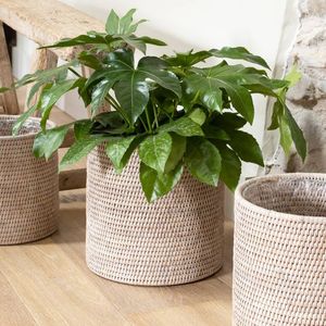 Rotin tissé à la main grand panier à linge herbe de mer panier Pots panier jonc de mer Pot de fleur avec poignée tissé à la main intérieur - Product Image 1