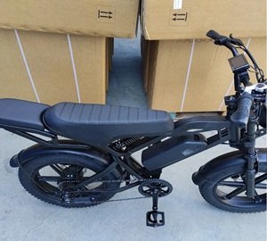 Nouveau vélo électrique T250 Racing avec moteur arrière et 7 vitesses - Product Image 2