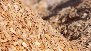 Astillas de madera de acacia duraderas y elegantes para decoración del hogar de diseño de interiores hechas de residuos agrícolas - Product Image 4