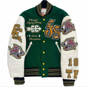 Chaqueta universitaria de lona personalizada para hombre 2025 con cuello levantado bordado, ropa de calle de invierno, chaqueta con letras de béisbol, nuevo diseño - Product Image 1