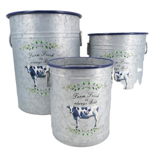 Collection de décoration d'intérieur en métal galvanisé, jardinières en fer galvanisé décoratives pour le salon - Product Image 6