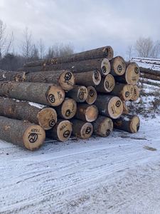 Bûches de pin durables de longueur personnalisée Bois de haute qualité - Product Image 2