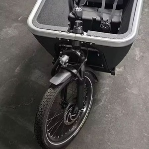Bicicleta Eléctrica de Carga CUBES Cargo Sport Dual Hybrid 1000, Auténtica, Lista para Envío Mundial - Product Image 1