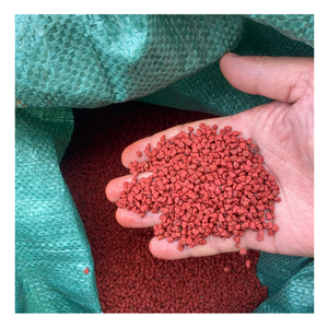 Épice de graines d'annatto du Vietnam Premium, graines d'annatto pures pour la coloration naturelle, la cuisine et les recettes culinaires en vrac - Product Image 5