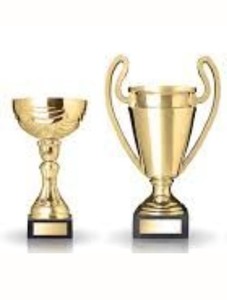 Trophée de récompense en or pour enfants/Trophée en métal plaqué or pour l'école/Trophée en métal de football avec logo personnalisé Trophée de la grande coupe de football - Product Image 3