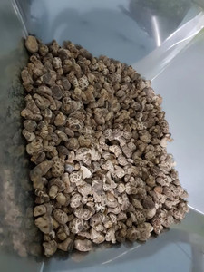 Hongo Shiitake seco natural de Vietnam Shiitake seco con precio asequible - Product Image 6