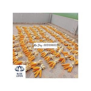 Decoración de maíz seco para el hogar, el maíz seco se utiliza para la decoración, el mejor producto de decoración de Vietnam, producto Blue Lotus - Product Image 2