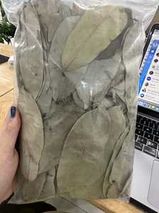 Soursop ทิ้งส่วนผสมชากราวิโอลาระดับพรีเมี่ยมจากเวียดนามตากแห้งและอัดแน่นด้วยกลิ่นหอมสำหรับการสั่งซื้อจำนวนมากและจำนวนน้อย - Product Image 5