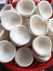 Morceaux congelés de viande de noix de coco de la haute catégorie IQF déchiquetés pour l'approvisionnement en vrac d'exportation - Product Image 2