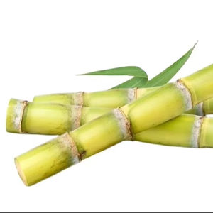 อ้อยแช่แข็งสำหรับเครื่องดื่มและของหวาน | 100% อ้อยธรรมชาติขายส่งจากเวียดนาม - Product Image 1