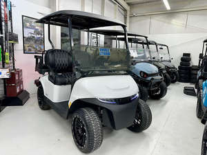 Meilleure offre pour les EZ GO Freedom RXV Elites 2024 2025, LIVRAISON RAPIDE Prêt à être expédié Original en stock - Product Image 2