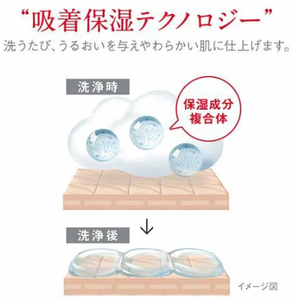 Savon liquide pour le corps Lion Hadakara, parfum floral frais, 500 ml, soin hydratant et conditionnant pour la peau, fabriqué au Japon, haute performance - Product Image 3