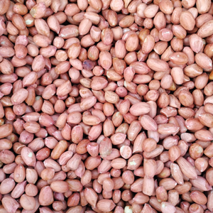 Cacahuetes Crudos Secos Sortex GMO de Grado A, Calidad Premium, 1 kg, 24 Meses de Caducidad, Venta al por Mayor, Exportación, Malasia - Product Image 5