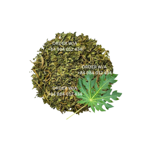 การจัดหาใบมะละกอแห้งราคาขายส่งและปริมาณการซื้อต่ำจากเวียดนาม! - Product Image 2