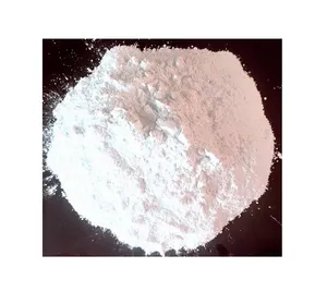 越南工厂99% 纯度高品质碳酸钙粉末CACO3 (涂层碳酸钙粉末)