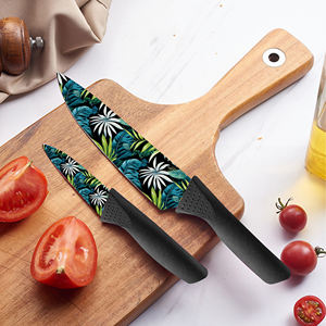 Meilleures ventes 2026 Ensemble de couteaux de chef en céramique professionnels personnalisés avec manches en plastique, lavables au lave-vaisselle pour la cuisine à domicile - Product Image 6