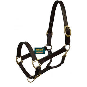 Alta calidad DD Hide Leather Horse Halter Inglés Ecuestre Softy Acolchado Horse Breakaway Headcollar Multi Designs Fabricante - Product Image 5
