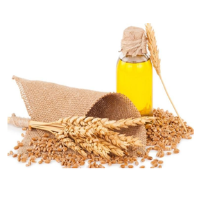 OEM fábrica de etiquetas privadas al por mayor prensado en frío aceite portador de germen de trigo de grado alimenticio cosmético aceite de germen de trigo puro - Product Image 3