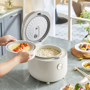 Olla Arrocera Digital Inteligente de 4L de Capacidad, Portátil, Eléctrica, Fuente de Alimentación Manual, Hierro y Plástico para Hoteles, Incluye Taza Medidora - Product Image 6