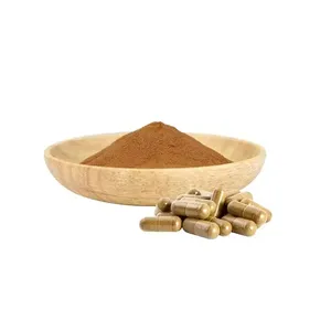 Pure Organic Lion Mane Mushroom Extract Powder and Capsule at Affordable Price Buy Isar International