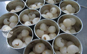 ลิ้นจี่กระป๋องเวียดนามพรีเมี่ยมสำหรับแบรนด์บับเบิ้ลชาการแปรรูปเครื่องดื่มและบรรจุภัณฑ์ขายปลีกส่งออก - Product Image 4