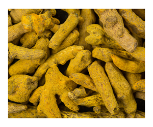 Dedo de cúrcuma amarillo Premium de la mejor calidad de VN seco entero crudo 100% puro natural precio bajo - Product Image 3