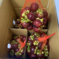 Zoete en sappige biologische Thaise mangosteen, koningin van de vruchten, in doos verpakt met tropische smaak, verse kwaliteit A, 8 kg, Khey TaladThai