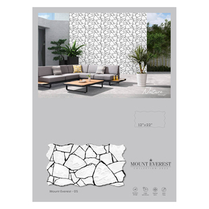 Carreaux muraux d'élévation à haute résistance nouveau design bon prix carreaux muraux en céramique 31x56cm d'Inde - Product Image 5