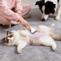 Peigne démêlant pour animaux de compagnie OEM, en acier inoxydable 304, à dents rotatives, poignée confortable en ABS, pour enlever le pelage emmêlé sans douleur