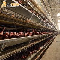 Cage de poulet en batterie, équipement d'élevage automatisé de poules pondeuses pour augmenter la production d'œufs au Nigeria