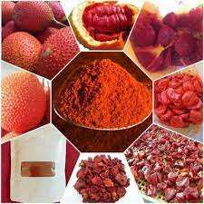 Frutos Rojos de Gac - Product Image 3