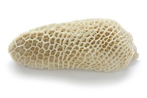 เนื้อควายแบบพรีเมี่ยมรังผึ้งสุกนุ่มกระเพาะเนื้อสำหรับอาหารจานอร่อย - Product Image 2