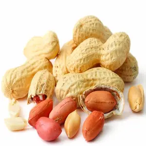 Melhor Grade Groundnut Tamanho diferente das contagens e bom gosto amendoim para lanches saudáveis disponíveis