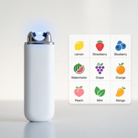 Briquet rechargeable USB grande capacité, livraison rapide DDP, vente en gros, OEM ODM, stock usine Chine, 10k 20k 30k 40k