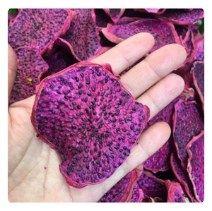 ARTÍCULO CALIENTE Farm Fresh Dry Soft Dragon Fruit Precio al por mayor - Product Image 6