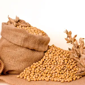 Soybeans NON-GMO Soya Beans Soybeans Crop High Quality Soybean/Soya Bean Wholesale