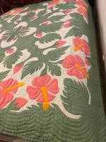 Poids léger 100% coton hawaïen fait à la main couette 2 ensemble vert taie d'oreiller pour chambre indien main bloc tortue imprimé