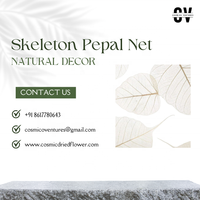 Fleur séchée cosmique de bonne qualité, feuille de pétale naturelle séchée, écologique, élégante et moderne, pour la décoration de la maison et du bureau
