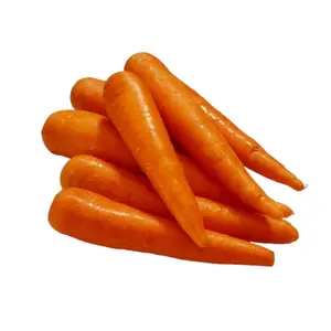 Granja-Zanahorias frescas-La excelencia de exportación comienza aquí