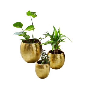 Lujoso contenedor de plantas decorado para el hogar, oficina o evento, decoración de plantas, juego de macetas de maceta de Metal, maceta al mejor precio - Product Image 3