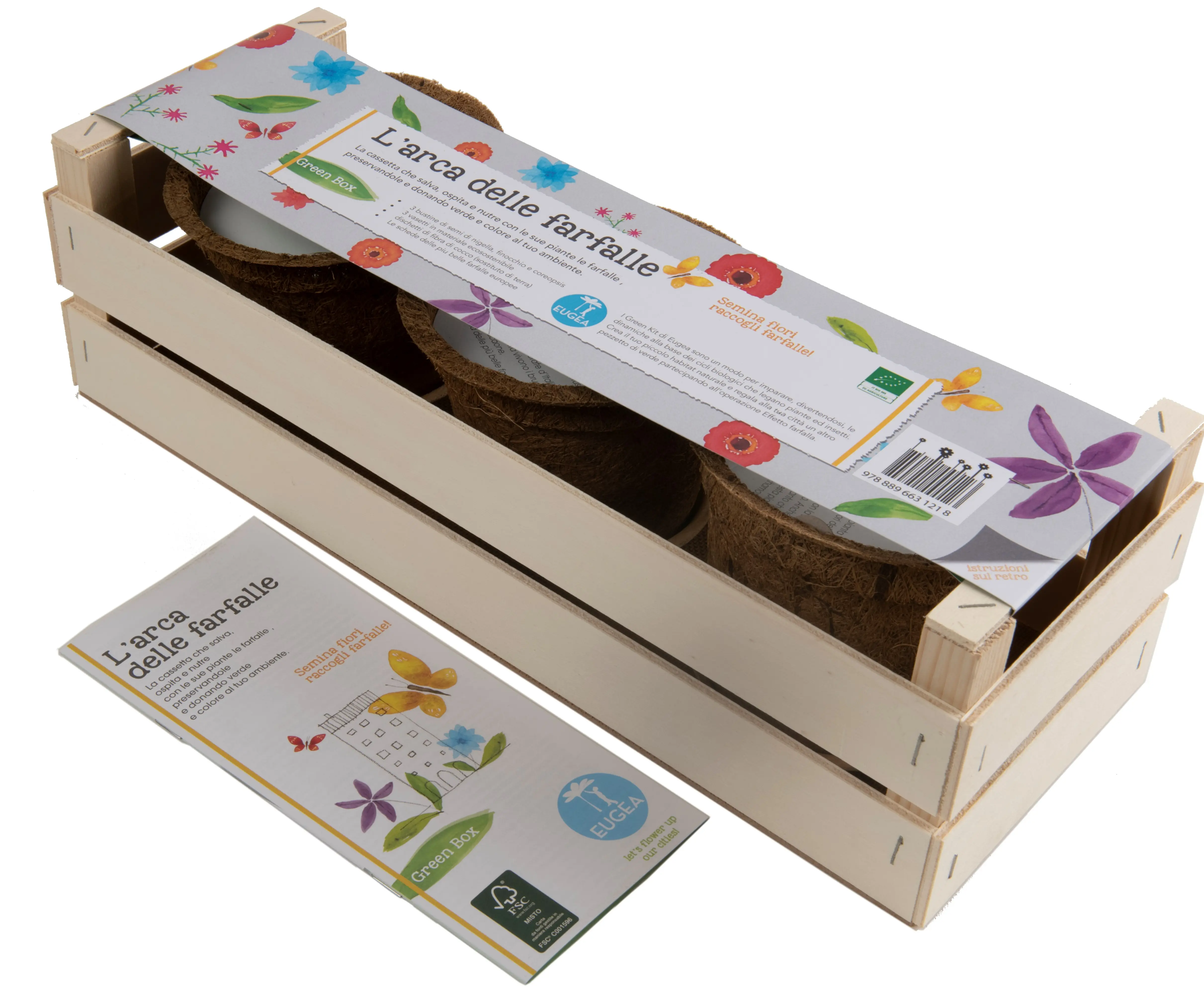 Yeşil kutu-kelebek ark, kullanıma hazır çiçekler dikmek için kit