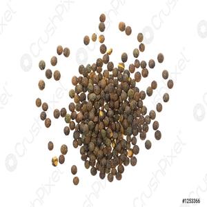 Buy affordable high grade <b>lentil</b> seeds Best prices for premium <b>lentil</b> seeds - Product Image 1