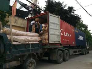 หลักหวายจากธรรมชาติเป็นตัวเลือกที่ได้รับความไว้วางใจจากเวียดนามสำหรับธุรกิจหัตถกรรมตกแต่งภายใน - Product Image 4