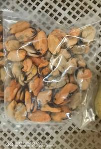 Venta al por mayor caliente MARISCOS CONGELADOS hervidos carne de mejillón cocido IQF proveedor de China - Product Image 3